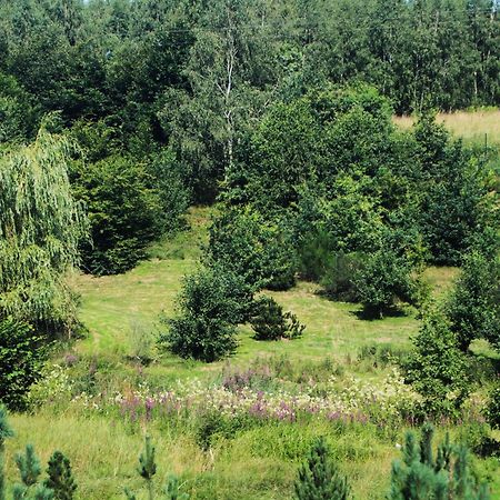 Gospodarstwo Agroturystyczne Powierzowka ليشنا المظهر الخارجي الصورة